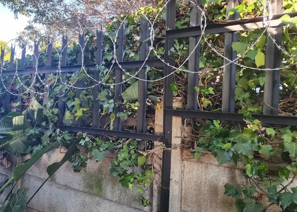 Commercial Clearview Fence