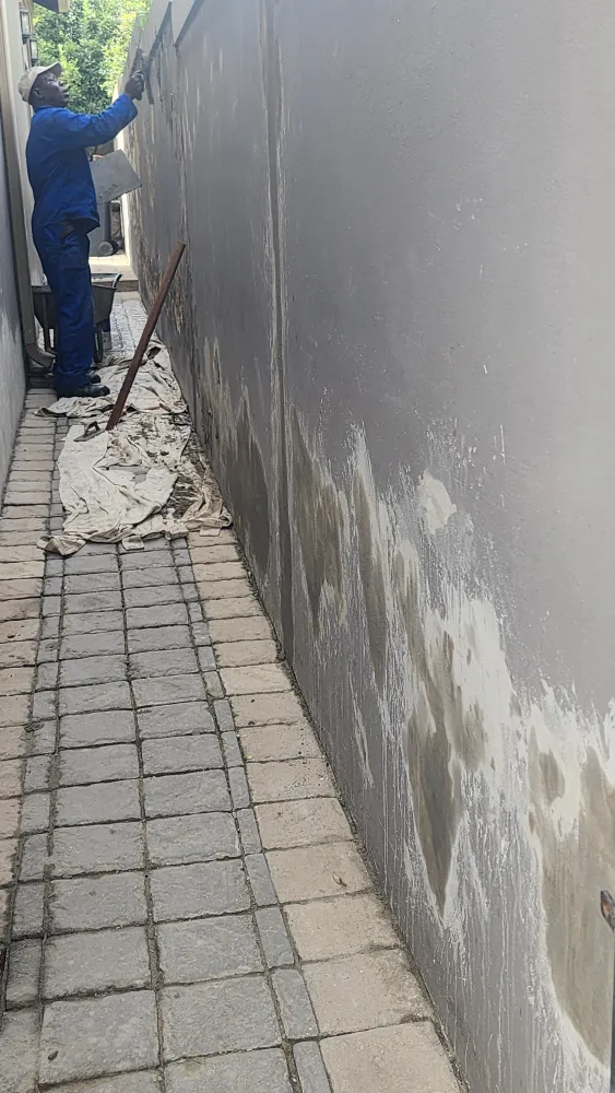Damp Structural & Building Repair Integrity