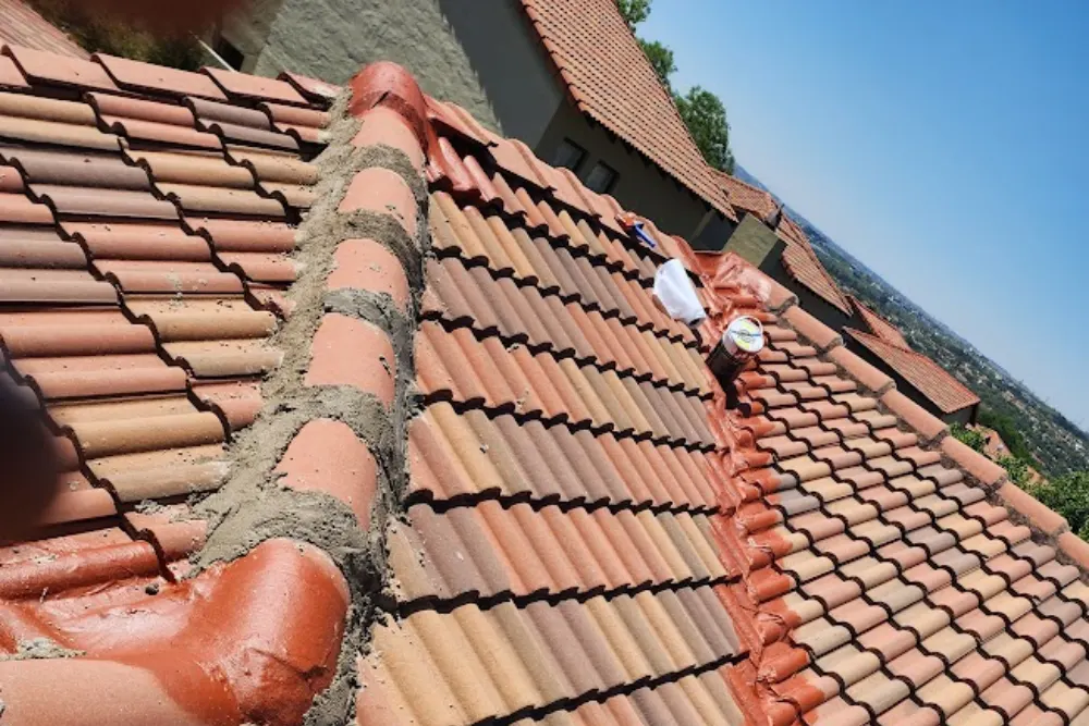 Roof Painting and Repairs