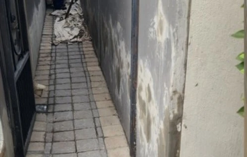Structural & Walls and Ceilings